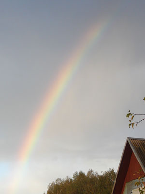 09_rainbow