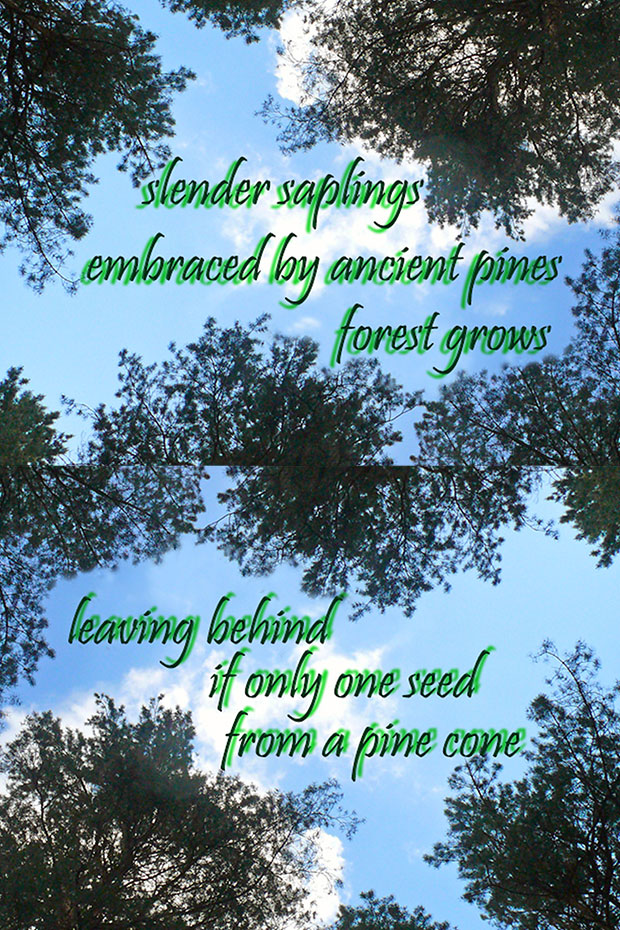 Haiku_forest_combined