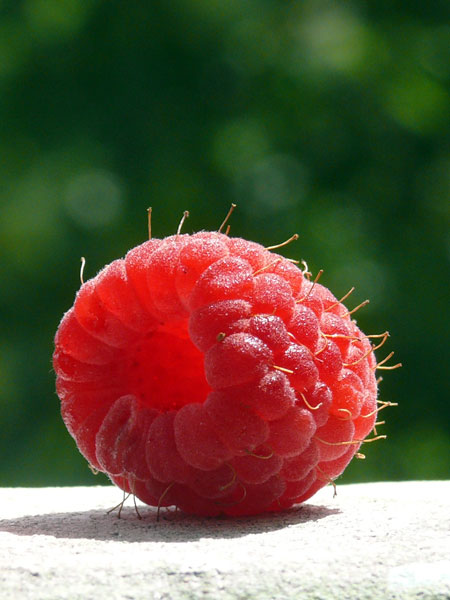 summer_raspberry